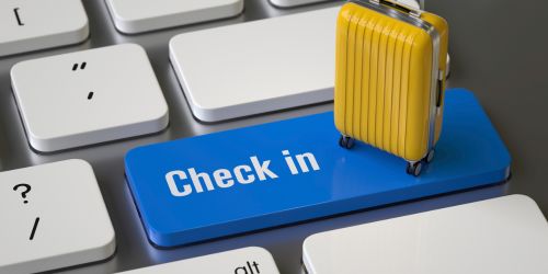 delta airlines check in